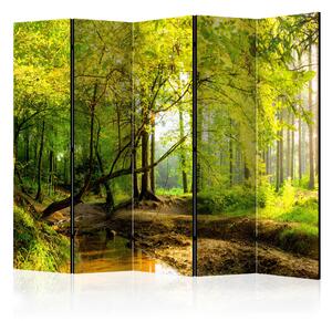 Paravento - Forest Clearing II [Room Dividers] 225x172