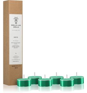 Smells Like Spells Norse Magic Freyr candela scaldavivande (wealth/abundance) 6 pz