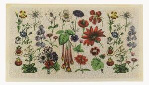 Zerbino lavabile Botanicals