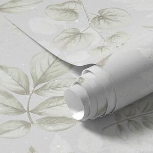 Carta da parati Foglie leggere acquerellate con effetto schizzo su sfondo grigio, Parati fiori e piante classici, a00446 : Uwalls.it