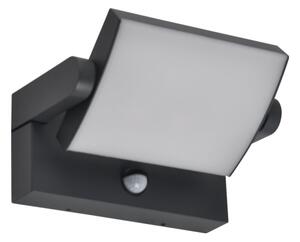 Brilagi - Applique LED da esterno ANKLE LED/12W/230V IP65 nera