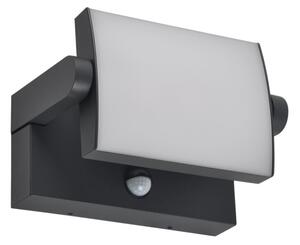 Brilagi - Applique LED da esterno ANKLE LED/12W/230V IP65 nera