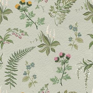 Carta da parati Erbe botaniche e felci su sfondo grigio-verde chiaro, Parati fiori e piante classici, a00498 : Uwalls.it
