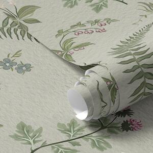 Carta da parati Erbe botaniche e felci su sfondo grigio-verde chiaro, Parati fiori e piante classici, a00498 : Uwalls.it