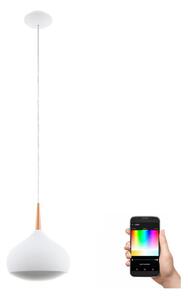 Eglo 97087 - LED RGBW Dimmerabile Lampada a sospensione COMBA-C 1xLED/18W/230V