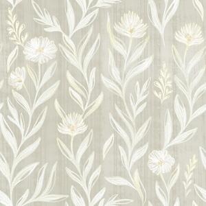 Carta da parati Erbe leggere e fiori su sfondo beige, linee abbozzate, Parati fiori e piante classici, a00618 : Uwalls.it