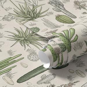 Carta da parati Cactus e piante grasse su uno sfondo caldo, stampa dettagliata, Parati fiori e piante classici, a00666 : Uwalls.it