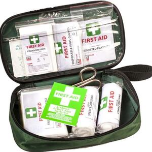 Kit auto 2 PORTWEST FA21 colore verde
