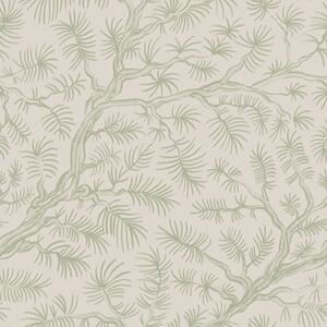 Carta da parati Rami di pino in tonalità verde chiaro su sfondo beige, Parati fiori e piante classici, a00838v1 : Uwalls.it