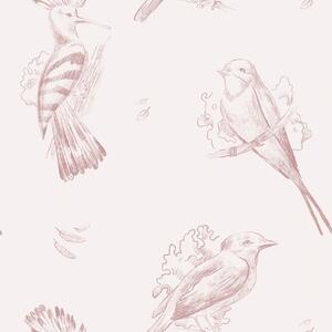 Carta da parati Toile con uccelli: uccelli disegnati, sfondo rosa tenue, Parati animali classici, Parati animali uccelli classici, a00656 : Uwalls.it