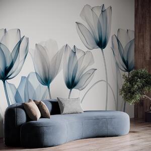Carta da parati Fiori di tulipano blu e bianchi traslucidi con steli lunghi, su sfondo chiaro, arte, Carta da parati Floreale, w09538 : Uwalls.it