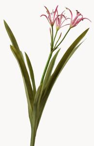 Set di 2 rami artificiali Crinum