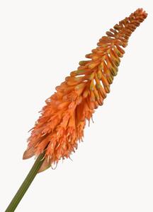 Set di 2 fiori artificiali Kniphofia