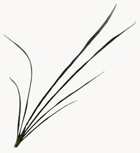 Set di 2 fiori artificiali Cymbidium