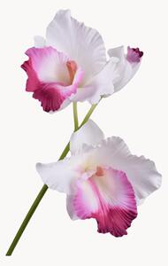 Set di 2 fiori artificiali Cattleya