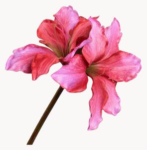 Set di 2 fiori artificiali Amaryllis