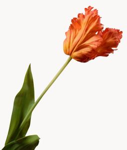 Set di 2 fiori artificiali Tulip