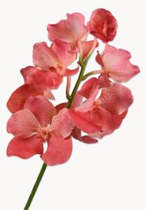 Fiori artificiali fatti a mano Vanda, set da 2