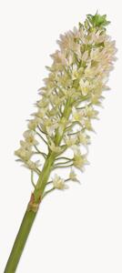 Fiori artificiali fatti a mano Eucomis, set da 2