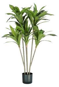 Pianta Dracaena H. 130 Cm 88 Foglie
