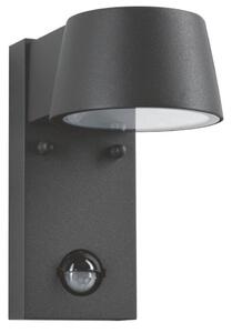 Paulmann 94453 - LED/6W IP44 Applique da esterno con sensore CAPEA 230V