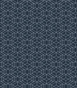 Carta da parati Rete geometrica blu scuro di cubi, Parati astratta classici, a01066v1 : Uwalls.it