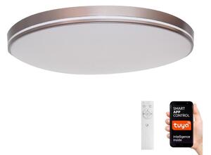 Immax NEO 07150-C40 - Luce LED Dimmerabile NEO LITE AREE 24W/230V Tuya Wi-Fi +RC