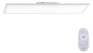 Paul Neuhaus 16533-16-O - LED Pannello da parete dimmerabile FLAT LED/24W/230V + TC