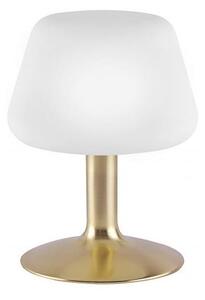 Paul Neuhaus 4078-60 - LED Lampada da tavolo Dimmerabile TILL 1xG9/3W/230V ottone