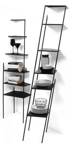 Mogg MAMA' |libreria|