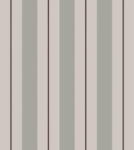 Carta da parati Strisce grigio-verdi con sottili dettagli scuri, Parati geometrica classici, Parati geometrica a righe classici, a01183v1 : Uwalls.it