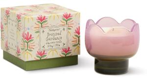 Paddywax Tulip Bronzed Gardenia candela profumata 155 g