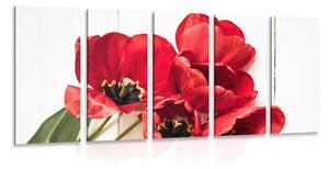 Quadri 5 pezzi – Tulipani rossi in fiore