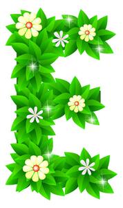 Lettera E | Alfabeto Fiorito