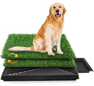 Lettiera per cani di dimensioni 63 x 50 cm, lettiera per cuccioli, set da due pezzi, erba sintetica