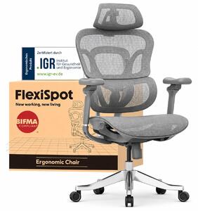 FLEXISPOT ErgoX Max: Sedia da ufficio ergonomica con capacità di carico fino a 300 kg, dotata di poggiatesta 4D e braccioli 5D, supporto lombare e dorsale integrato. Ideale anche come sedia da gaming. Colore: grigio
