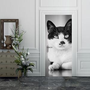 Porta Gatto