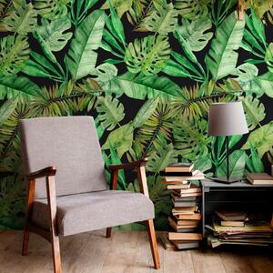 Tropical green and black | Rotolo Carta da Parati