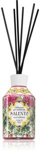 Rudy - Le Maioliche Salento diffusore di aromi con ricarica 250 ml