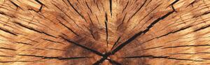 Copriwater Universale In Termoindurente 37x46,6x5 Saniplast Wood