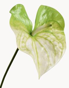 Set di 2 fiori artificiali Anthurium