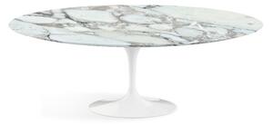 Fedele riedizione del tavolo ovale tulip con piano in marmo di carrara o in laminato, misure piano oval 160x85 , materiale piano marmo arabescato vagli, colore base alluminio bianco lucido