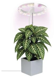 Lampada LED dimmerabile da interno per la coltivazione di piante GROW LED/8W/5V