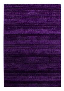 Tappeto viola scuro 160x230 cm Plus - Ayyildiz Carpets