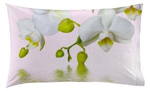 Coppia di federe set di 2 federe stampa digitale 100% cotone made in italy ORCHIDEA