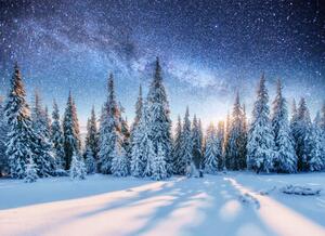 Illustrazione Dairy Star Trek in the winter woods, standret