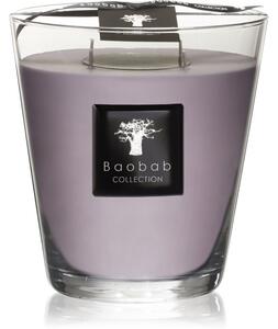 Baobab Collection All Seasons White Rhino candela profumata 16 cm