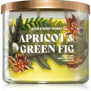 Bath & Body Works Apricot & Green Fig candela profumata 411 g