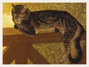 Riproduzione Summer Cat on a Balustrade Vintage French Feline - Th ophile Steinlen, (40 x 30 cm)