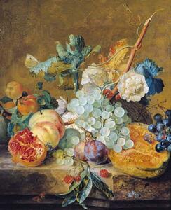 Jan van Huysum - Riproduzione Flowers and Fruit, (35 x 40 cm)
